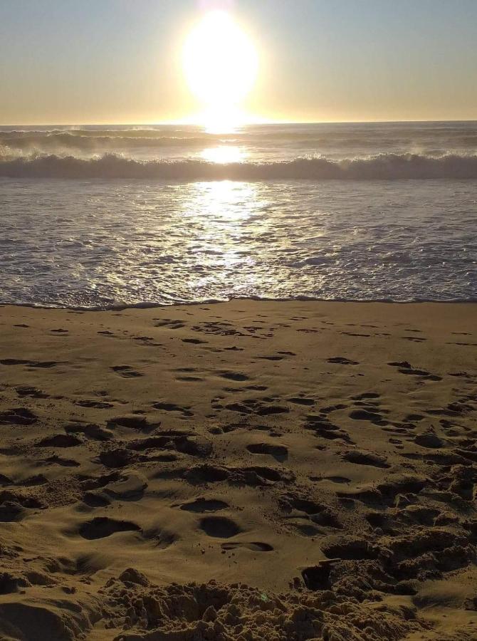 Superbe Appart.55m2 - 200m Ocean Et Parking * Biscarrosse